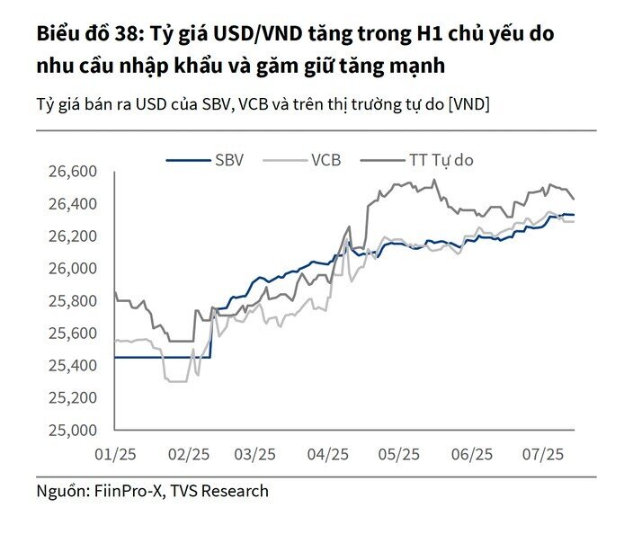 Dự báo mới nhất về tỉ giá