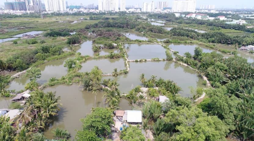 Quốc Cường Gia Lai trả nợ 100 tỷ đồng dự án liên quan bà Trương Mỹ Lan