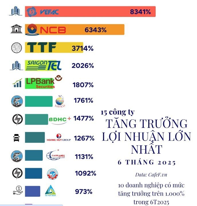 15 công ty tăng trưởng lợi nhuận 'khủng' nhất nửa đầu năm 2025