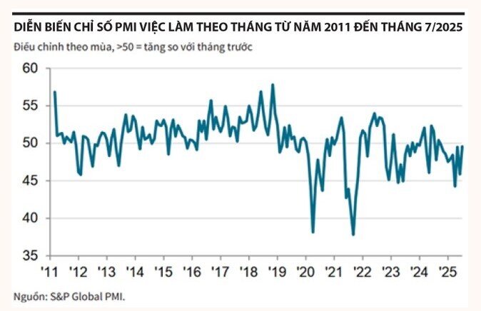 Cổ phiếu midcap và penny hút dòng tiền