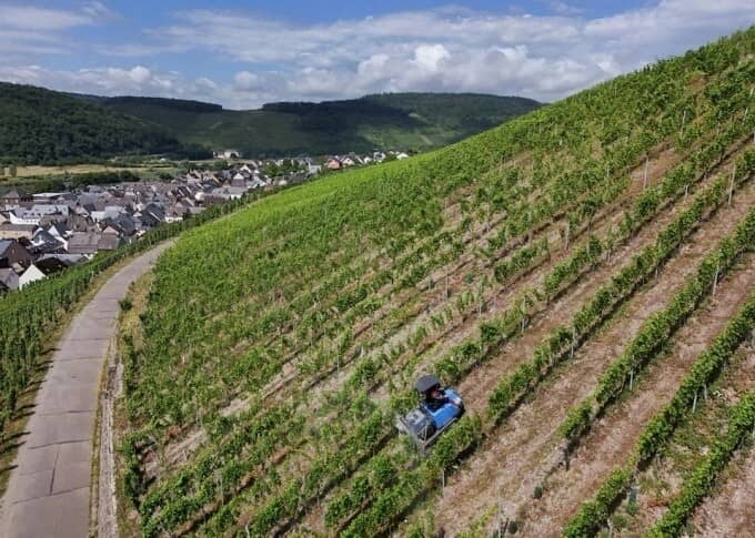 Doanh nghiệp châu Âu tìm cách thích nghi thuế mới của Mỹ