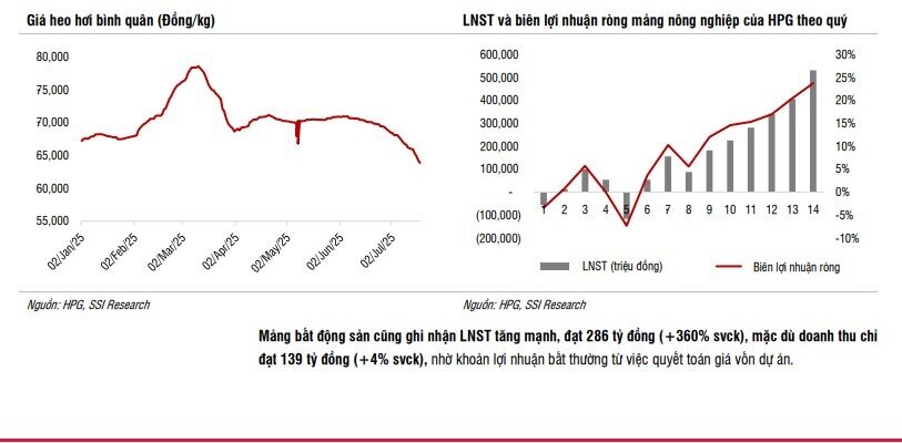 Hòa Phát (HPG) sẽ lãi sau thuế 9.500 tỷ trong nửa cuối năm 2025