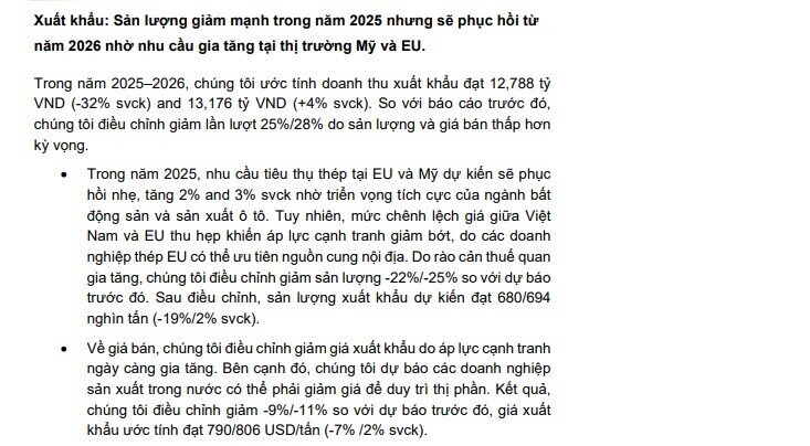 MBS Research nâng dự báo lợi nhuận HSG, giá cổ phiếu được kỳ vọng tăng mạnh