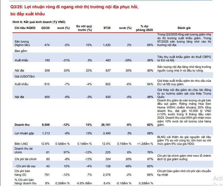 MBS Research nâng dự báo lợi nhuận HSG, giá cổ phiếu được kỳ vọng tăng mạnh