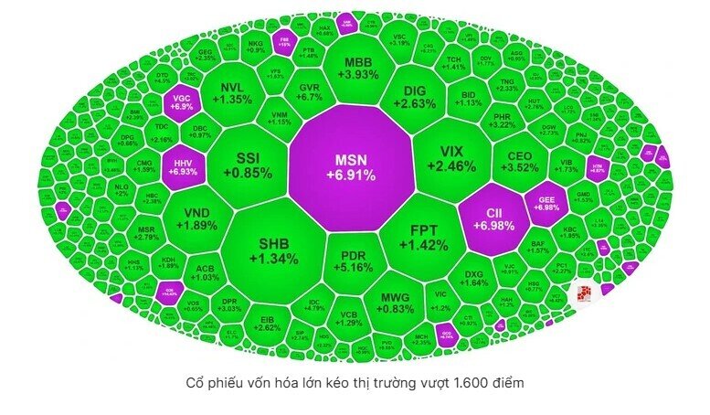 VN-Index lần đầu chạm mốc lịch sử 1.600 điểm, nhà đầu tư vừa mừng vừa tiếc