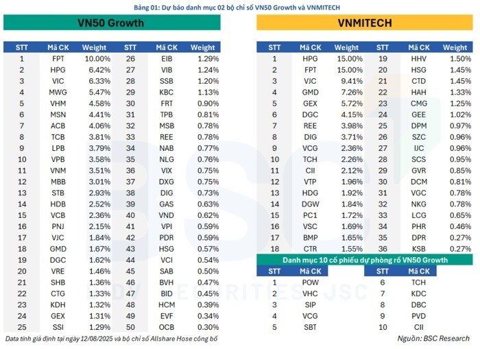 Những "ứng viên" sáng giá nào cho VN50 Growth và VNMITECH?