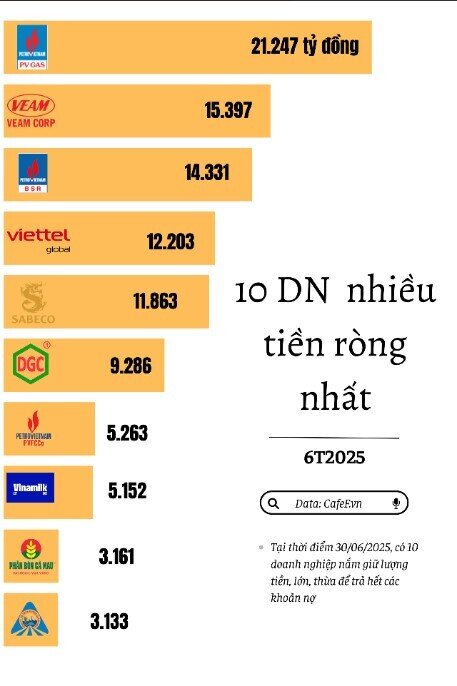 10 DN nhiều tiền ròng nhất nửa đầu năm 2025