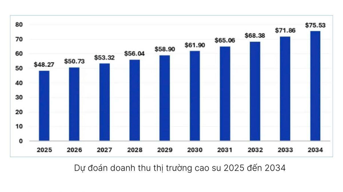 Báo cáo ngành cao su Qúy II/2025