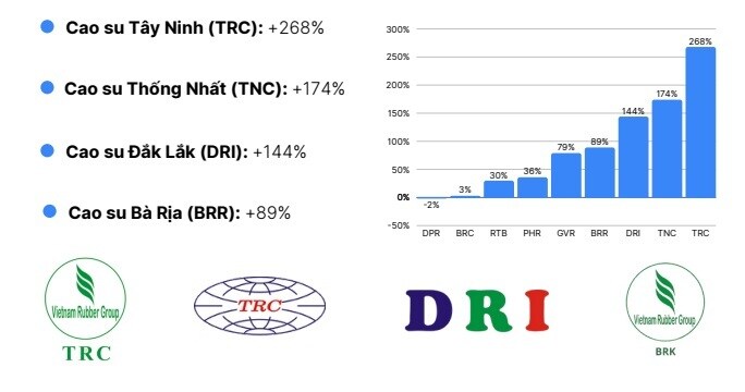 Báo cáo ngành cao su Qúy II/2025