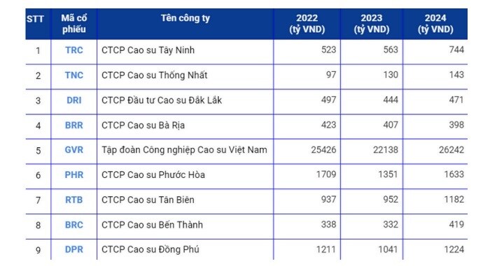 Báo cáo ngành cao su Qúy II/2025