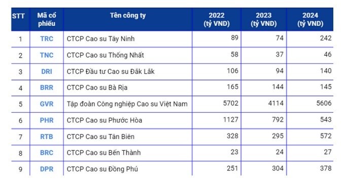 Báo cáo ngành cao su Qúy II/2025