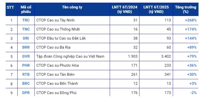 Báo cáo ngành cao su Qúy II/2025