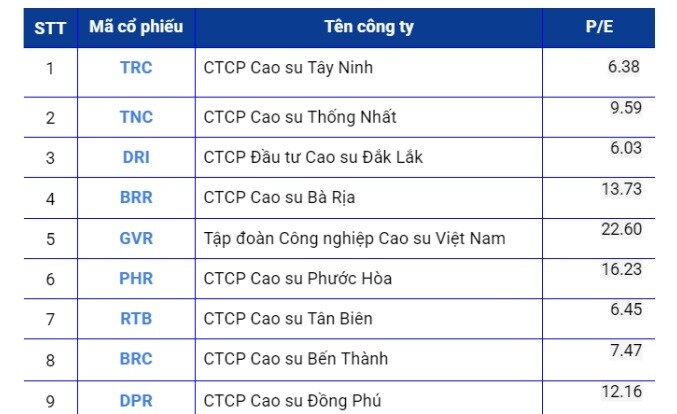 Báo cáo ngành cao su Qúy II/2025