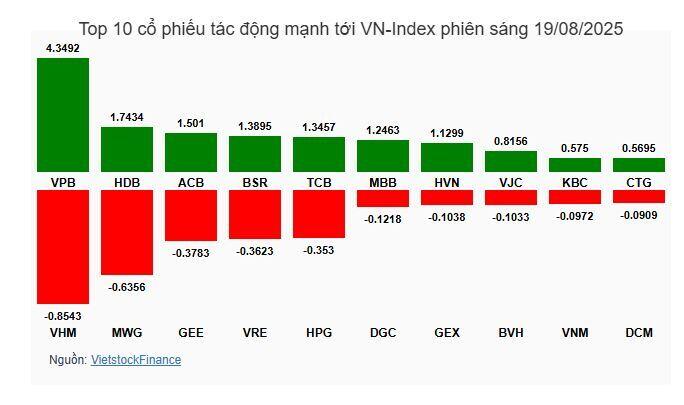 Nhịp đập Thị trường 19/08: Hàng loạt cổ phiếu tăng trần