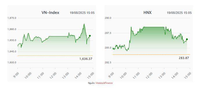 Nhịp đập Thị trường 19/08: Hàng loạt cổ phiếu tăng trần