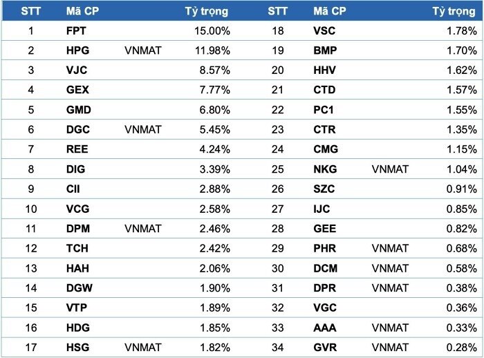 Cổ phiếu nào sẽ lọt vào “rổ” VNMITECH và VN50 Growth?