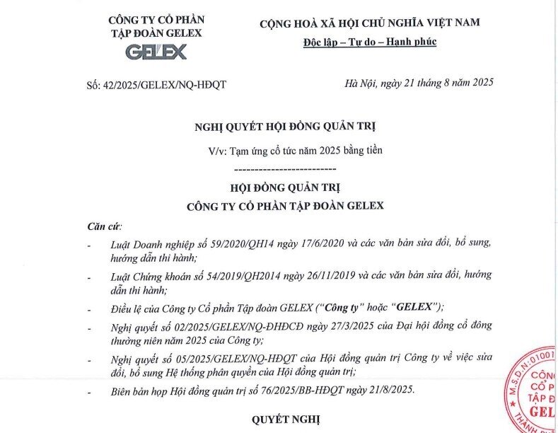 GEX tạm ứng cổ tức 8% bằng tiền mặt, IPO Hạ tầng GELEX trong quý 4