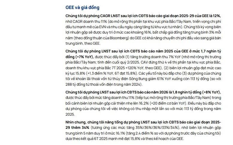 Các mảng kinh doanh của GEX có thể đạt mức lợi nhuận kỷ lục mới