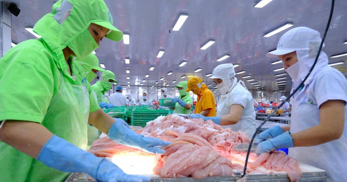 Việt Nam thành cường quốc xuất khẩu nông sản, nhiều mặt hàng dẫn đầu thế giới