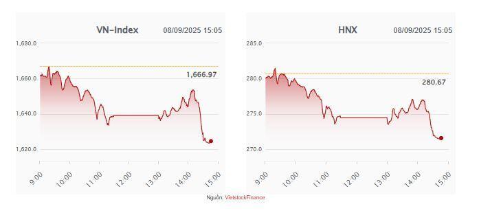 Nhịp đập Thị trường 08/09: VN-Index giảm mạnh 42 điểm, khối ngoại mua ròng lại