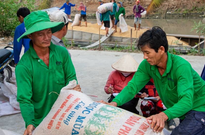 Thủ tướng yêu cầu tăng tín dụng, mở rộng thị trường xuất khẩu gạo