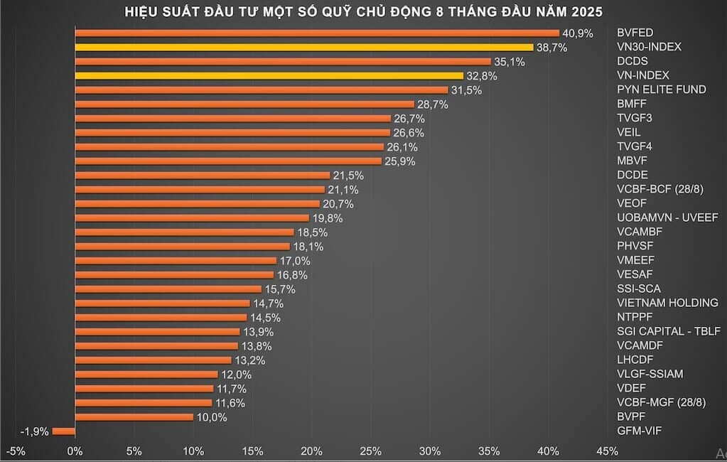Quỹ đầu tư lép vế trước VN-Index