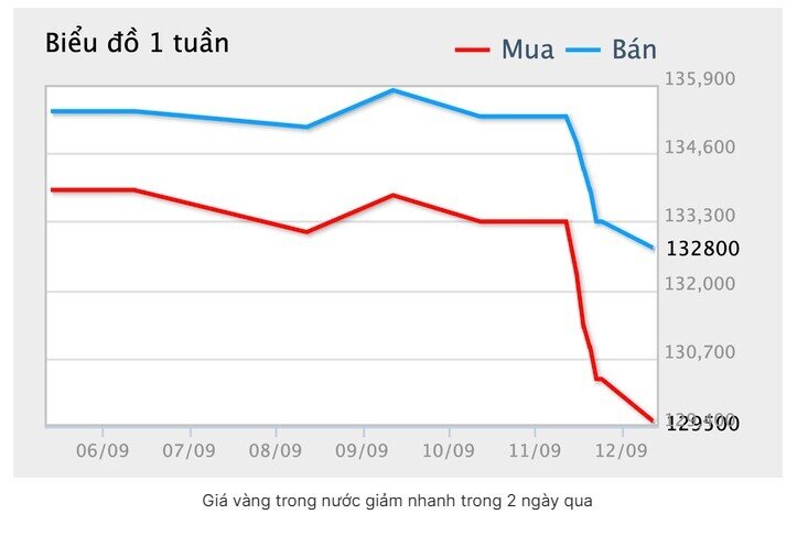 Sáng nay 12-9, giá vàng miếng SJC, vàng nhẫn tiếp tục lao dốc