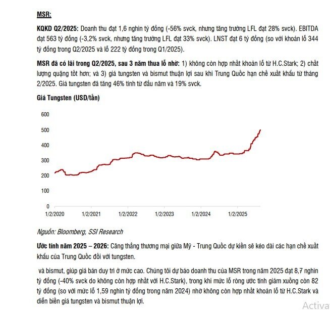 SSI Research dự báo MSN lãi hơn 6.100 tỷ đồng năm 2025
