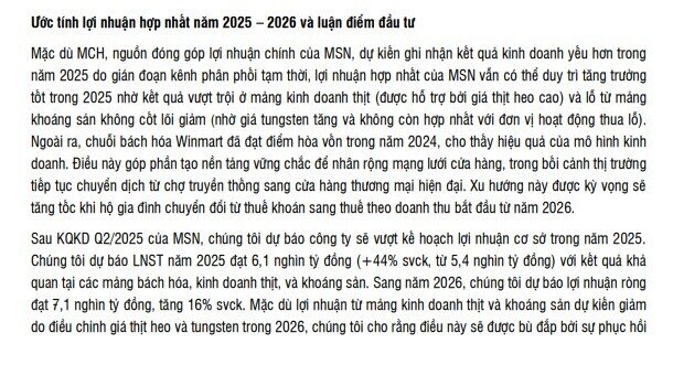 SSI Research dự báo MSN lãi hơn 6.100 tỷ đồng năm 2025