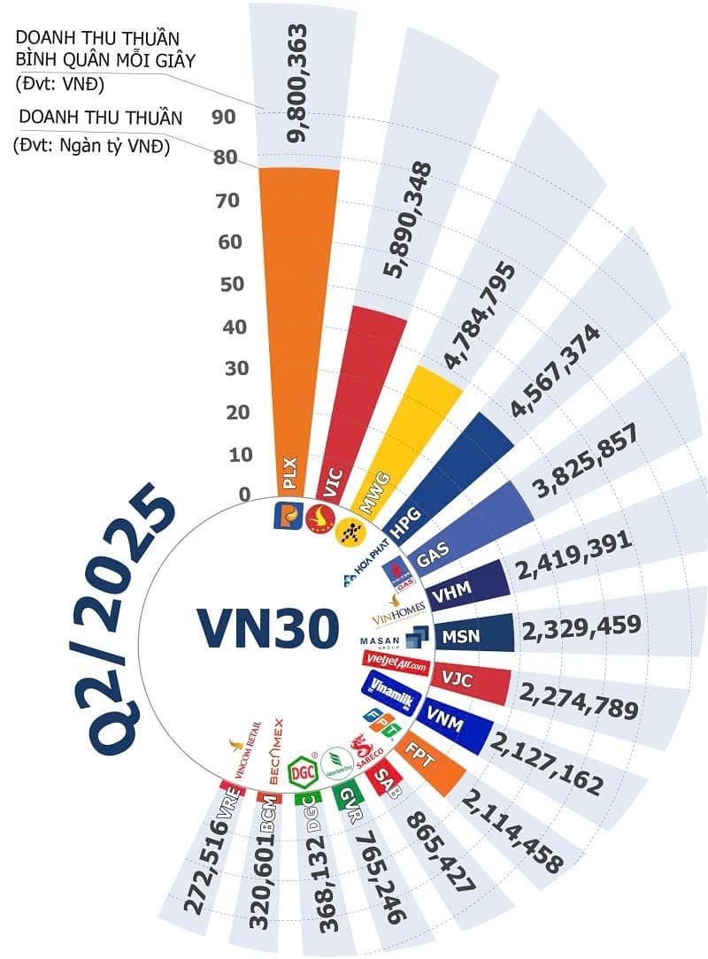 VHM vượt qua các "ông lớn" trong cuộc đua lợi nhuận VN30 quý 2/2025