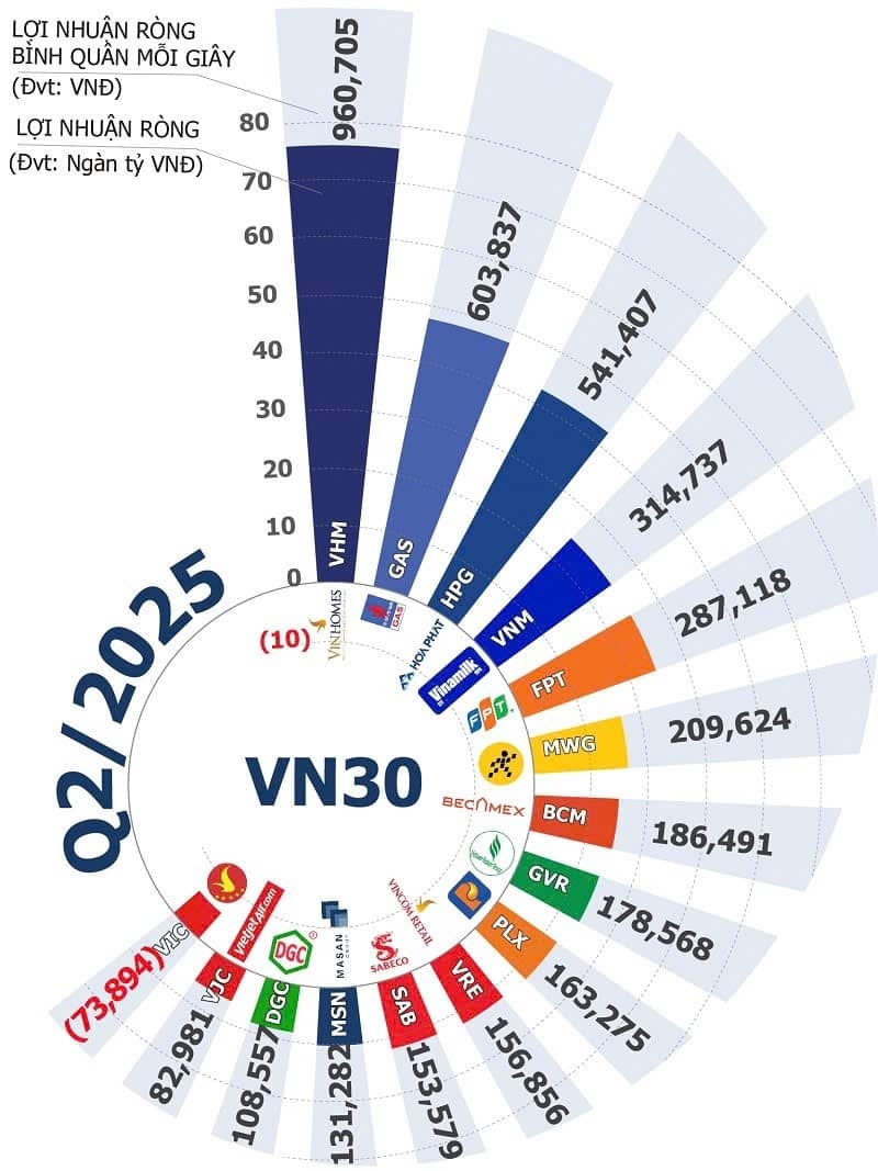 VHM vượt qua các "ông lớn" trong cuộc đua lợi nhuận VN30 quý 2/2025
