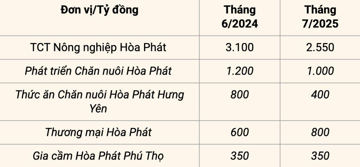 Trước thềm IPO, mảng nông nghiệp của Hoà Phát có vị thế ra sao?