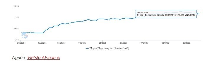 Tỷ giá cuối năm và giải pháp cho doanh nghiệp
