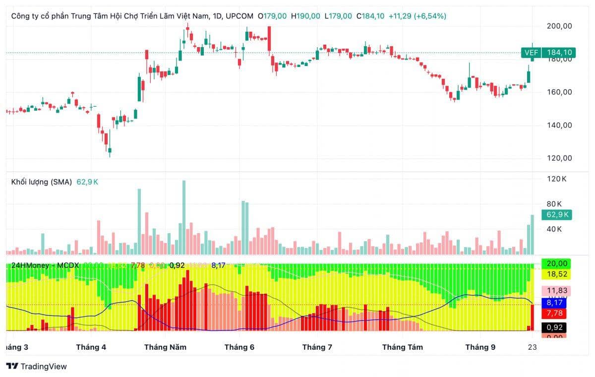 VEF đề xuất chi gần 5.500 tỷ đồng tạm ứng cổ tức, tỷ lệ 330%
