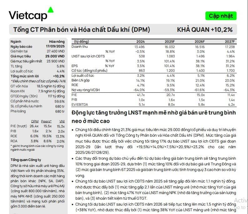DPM và DCM có định giá hấp dẫn khi giá urê leo thang