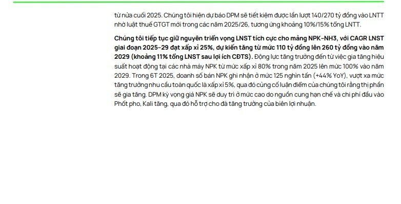 DPM và DCM có định giá hấp dẫn khi giá urê leo thang