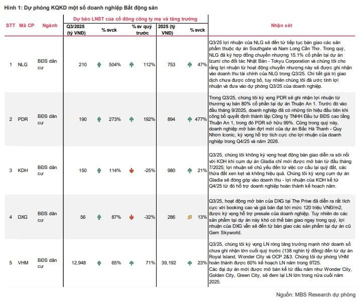Dự báo lợi nhuận các doanh nghiệp BĐS: Vinhomes lãi gần 13.000 tỷ, lợi nhuận Nam Long tăng hơn 500%