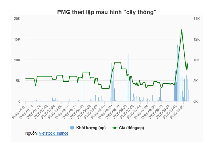 PMG nói gì sau khi thiết lập mẫu hình “cây thông”?