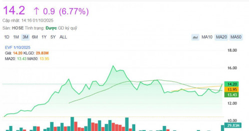EVF dư mua giá trần hàng triệu cổ phiếu, rực tím giữa thị trường chứng khoán