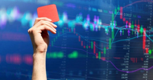 2 cổ phiếu bị HOSE đình chỉ giao dịch