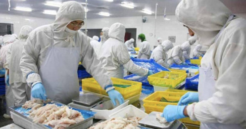 PMI tháng 9/2025: Số lượng đơn đặt hàng mới tăng trở lại khi xuất khẩu duy trì sự ổn định