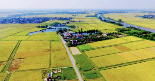 12 trường hợp này sẽ được miễn, giảm tiền sử dụng đất và tiền thuê đất từ hôm nay (1/10)