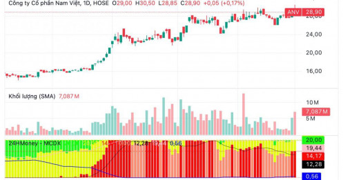 Lợi nhuận quý III dự kiến tăng 1.000%, cổ phiếu công ty xuất khẩu này vượt đỉnh lịch sử