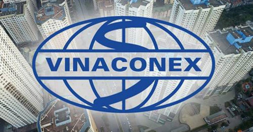 VCG bứt phá với lợi nhuận quý 3/2025 dự báo hơn 2.445 tỷ đồng – Cơ hội đầu tư và tiềm năng từ các dự án trọng điểm