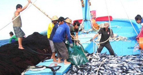 Thủy sản Việt ra khơi lớn: Cuộc đua khốc liệt của Sóc Trăng, Sao Ta và Minh Phú ở hai thị trường khó tính nhất thế giới