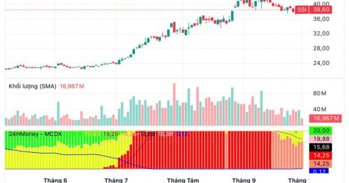 SSI “hốt bạc” nhờ cho vay margin bùng nổ: Lợi nhuận dự kiến gần 4.600 tỷ đồng, tăng 62%