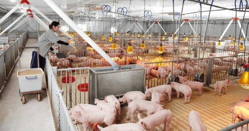 DBC: Điểm tựa nào cho cú nhảy giá cổ phiếu?