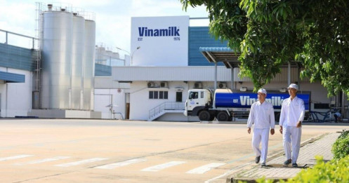 'Mưa' cổ tức tiền mặt
