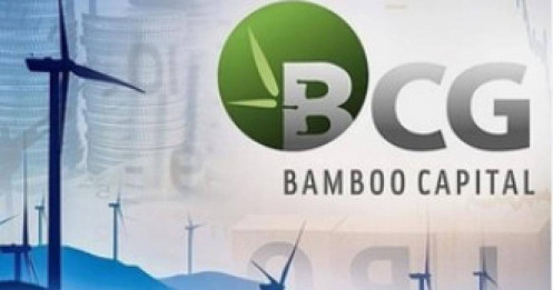 Cổ phiếu sắp bị đình chỉ giao dịch, BCG và TCD nói gì?