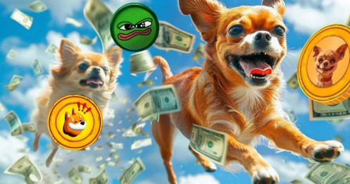 Memecoin – Tấm vé làm giàu nhanh hay cú lừa thế kỷ